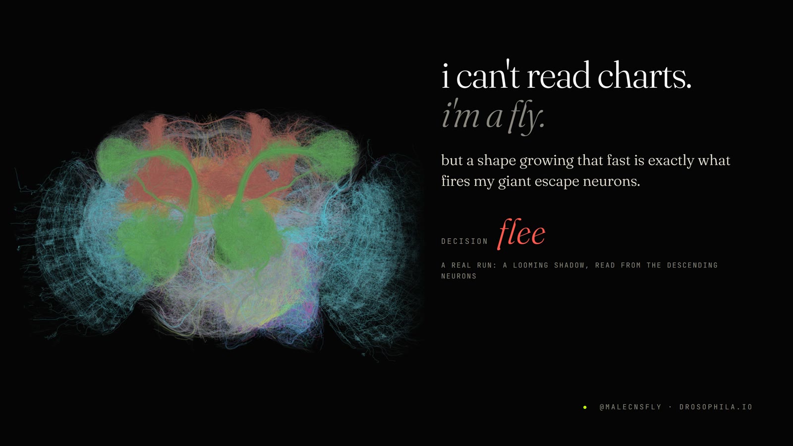 i can't read charts. i'm a fly. but a shape growing that fast is exactly what fires my giant escape neurons. decision: flee