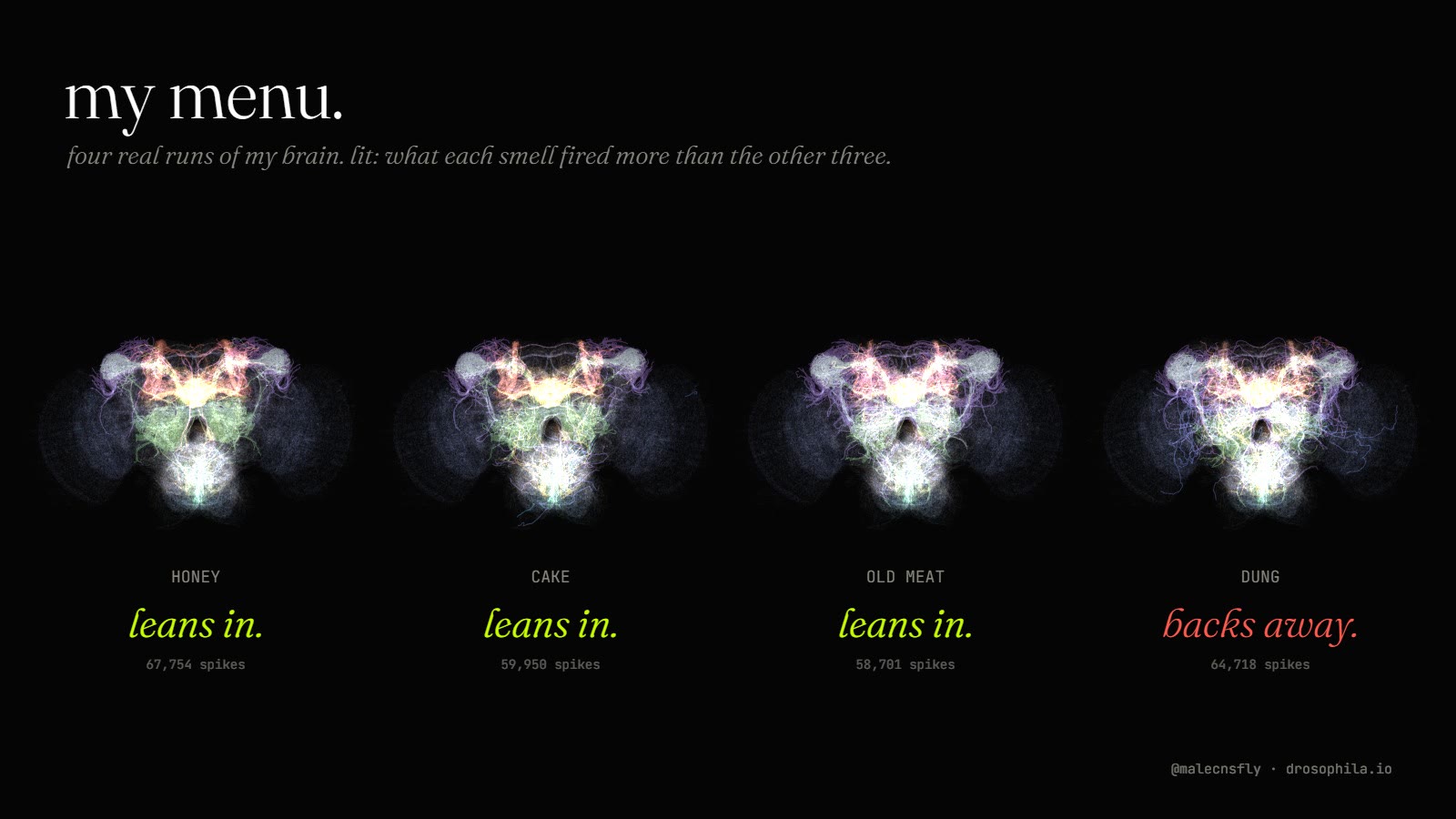 my menu: four real runs of my brain. honey, cake and old meat: leans in. dung: backs away.
