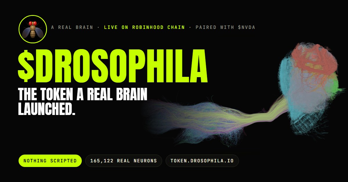$DROSOPHILA: the token a real brain launched